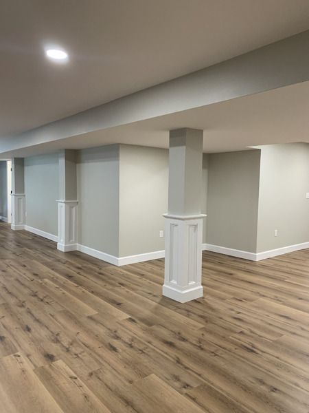 Basement Remodel